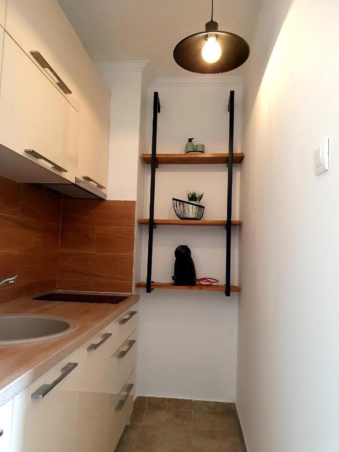 Anja & Ogo Apartments Sea View & Pool Petrovac Exterior foto